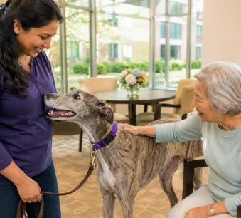 Dog receiving in-home training with a professional trainer