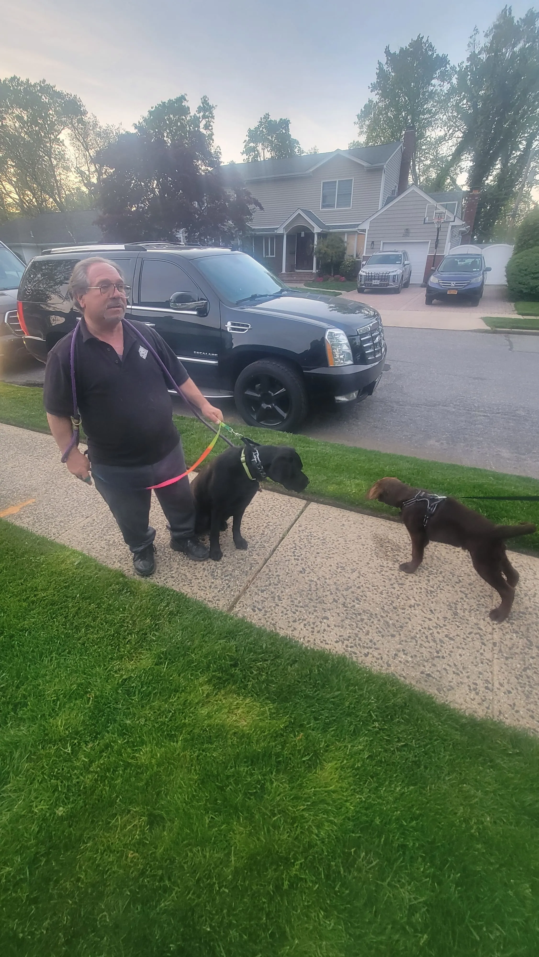 Robert walking two dogs during an outdoor training session