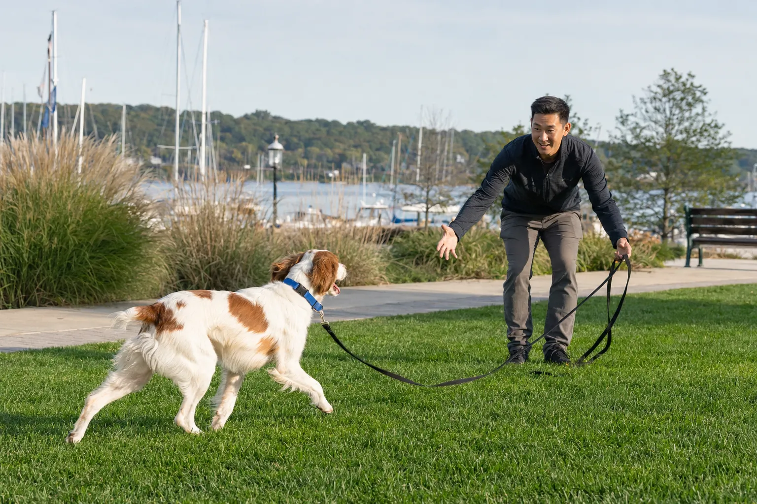 Dog sitting calmly with its trainer during an outdoor training session
