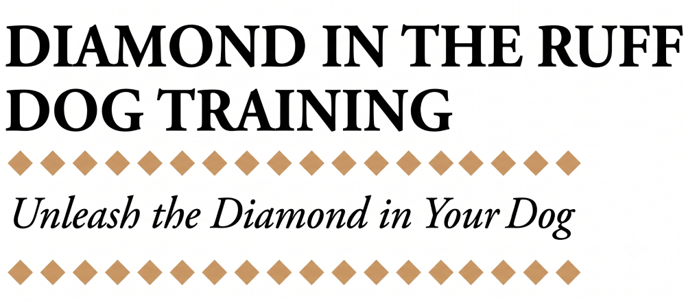 Diamond in the Ruff Dog Training