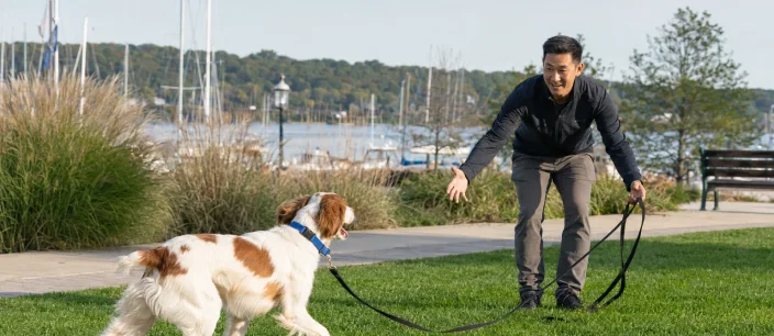 Dog trainer working with a dog during a Board and Train session